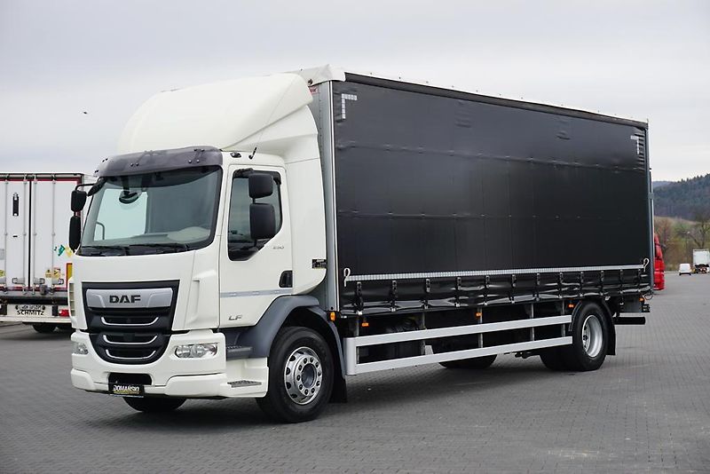 DAF LF (2019) 290 / E 6 / FIRANKA + WINDA /  - fotka 2 z 44