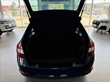 Škoda Rapid 1,0   TSI 81kW,CLEVER,SERVISKA - náhled 22