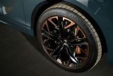 Cupra Terramar VZ 2.0TSI 195kW Web Taž ZÁRUKA - náhled 12