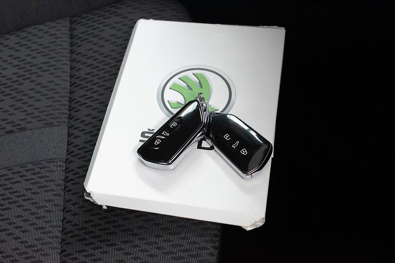 Škoda Octavia 2.0 TDI STYLE*KESSY*DPH*ČR 1.M - fotka 30 z 38