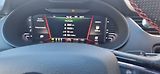 Škoda Octavia (2018) 2.0 TSI RS DSG 245 - náhled 24
