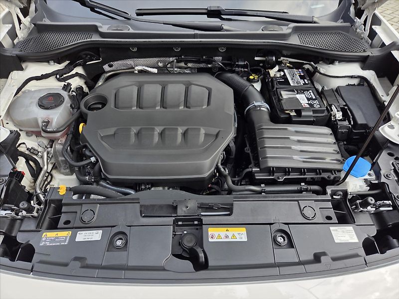 Cupra Formentor 2,0 TSi DSG 4x4 Matrix DCC Zár - fotka 25 z 27