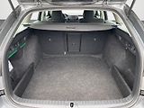 Škoda Octavia (2023) 2.0 TDI 110kW DSG Style Plus c - náhled 32