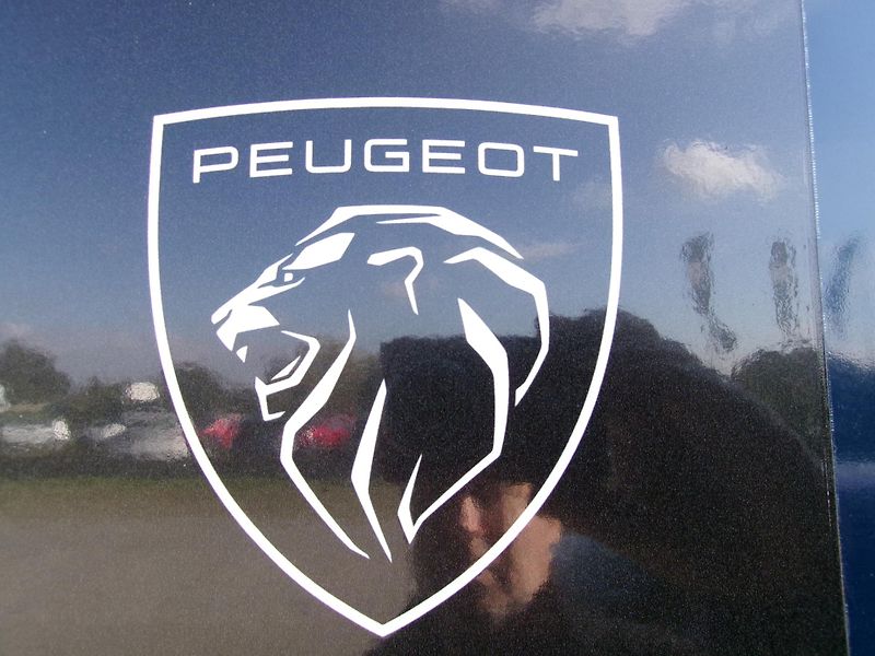 Peugeot 508 1.5 BlueHDi automat  - fotka 23 z 25
