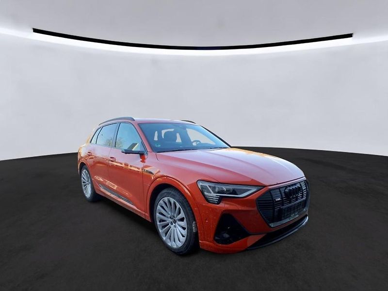 Audi e-tron 55 QUATTRO 300kw SOH 97 % - fotka 1 z 5