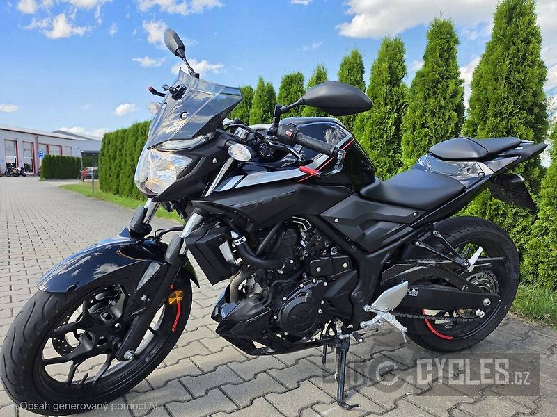 Yamaha MT-03 (2017) - fotka 9 z 15