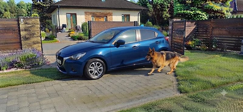 Mazda 2 1.5  servisní historie - fotka 37 z 39