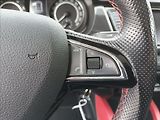 Škoda Fabia 1,2 TSI,81KW,MONTE CARLO,PANO, - náhled 28