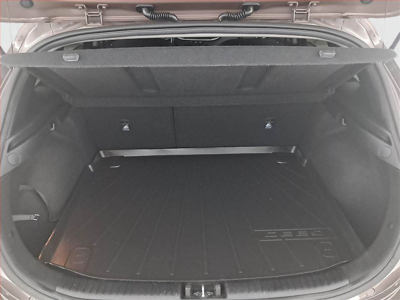 Kia Ceed (2020) Exclusive 1.4 T-GDI - fotka 14 z 20