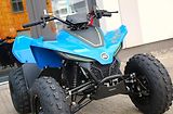 CFMOTO Gladiator X110 (2026) X110LE - náhled 13