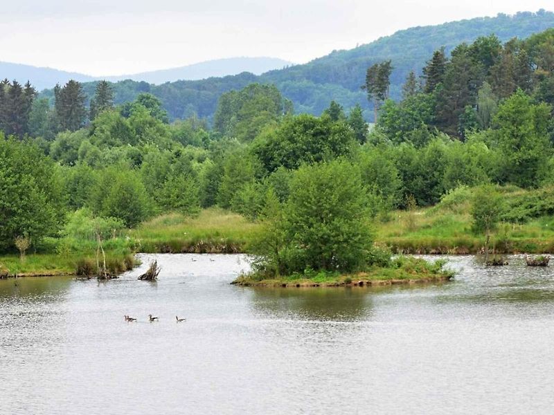 Pro ornitologa ráj, pro běžného turistu zážitek. To je Dračí jezero.