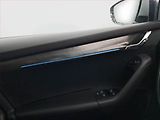 Škoda Octavia (2019) Scout 2.0 TDI, 4X4, Automat - náhled 20
