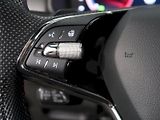 Škoda Kodiaq (2022) RS 2.0TSI 180KW 4x4  DSG WEBAS - náhled 22