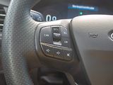Ford Focus (2025) ČR 1.0T 114KW mat – ST-line - náhled 19