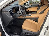 Lexus NX 350h 2.5HEV, ČR, ExecutiveTOP, 4x4 - náhled 10