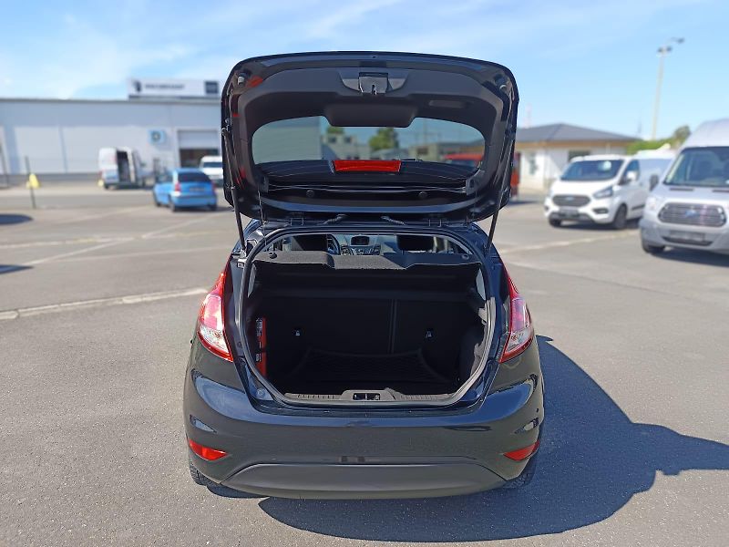 Ford Fiesta (2014) - fotka 4 z 33