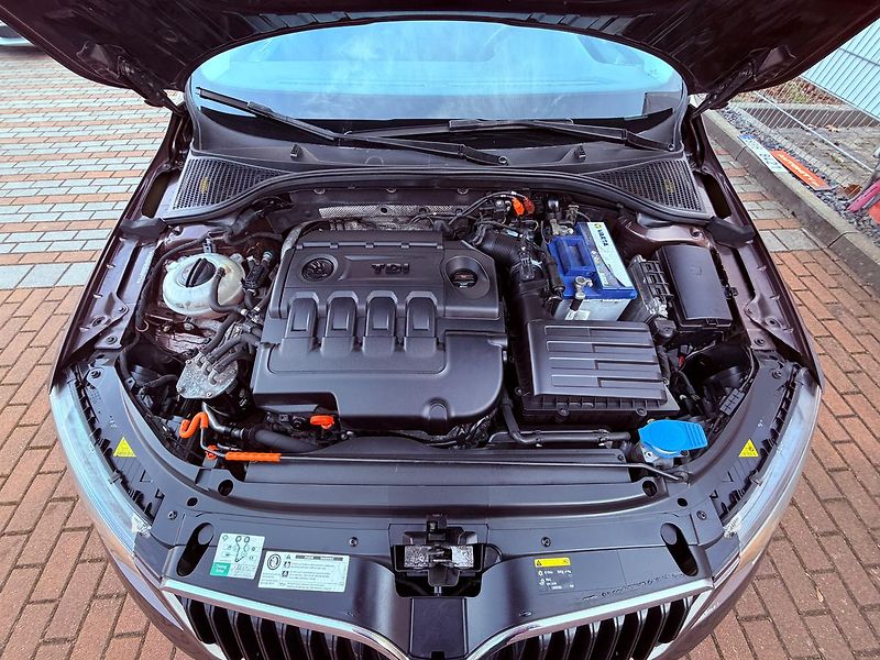 Škoda Octavia 1.6 TDi Elegance, ČR - fotka 19 z 21