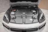 Porsche Cayenne S 2.9 V6 PLATINUM EDITION*DPH* - náhled 39