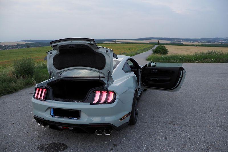 Ford Mustang (2021) MACH 1 - sběratelský kousek  - fotka 6 z 13