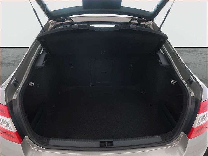Škoda Octavia (2016) Style 2.0 TDI, Serv.kniha - fotka 13 z 20