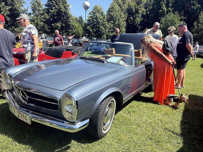 Návštěvníci akce mohli obdivovat kolem 140 historických automobilů, motorek i traktorů.