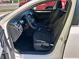 Škoda Octavia (2014) 2,0TDi 110kw ČR  DSG VYHŘ. SED - náhled 9