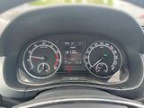 Škoda Fabia (2022) Ambition Plus 1.0 TSI DSG Navi - náhled 22