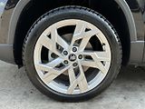 Škoda Karoq 2.0TDi DSG 4x4 150PS Matrix-LE - náhled 9