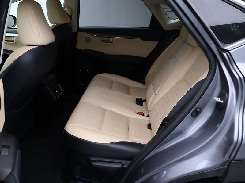 Lexus NX 300h 2,5 145kW 4WD Premium AUT - fotka 15 z 38