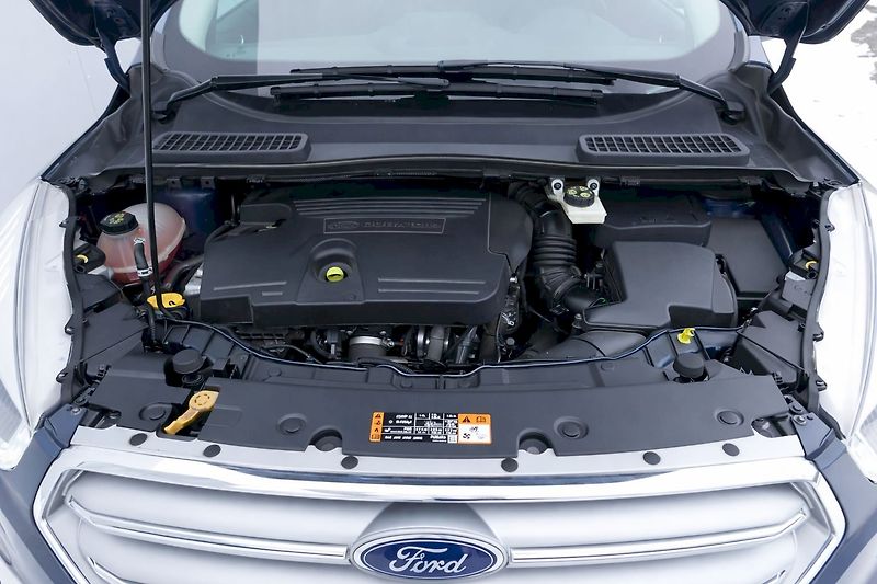 Ford Kuga (2019) 2.0 TDI 110kW M6° Titanium Plu - fotka 33 z 33