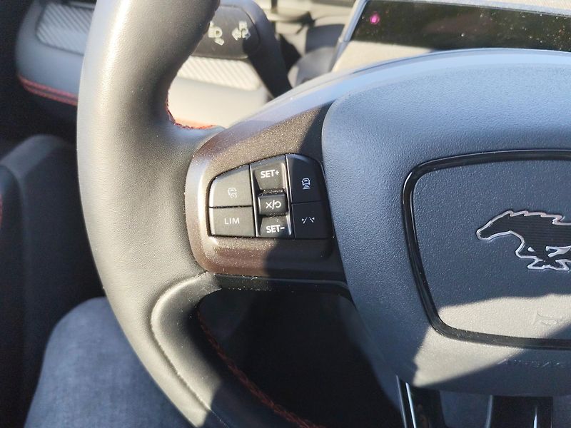 Ford Mustang Mach-E (2022) Mustang Mach E AWD - fotka 11 z 38