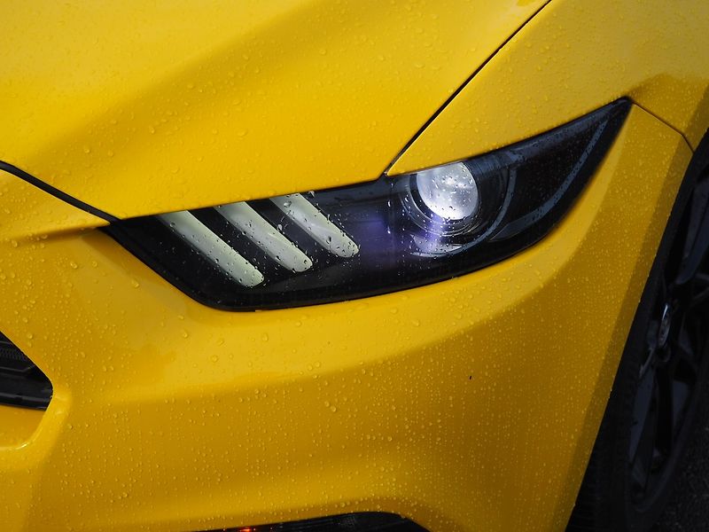 Ford Mustang (2015) 3.7i, 224kW, Manuál - fotka 7 z 27