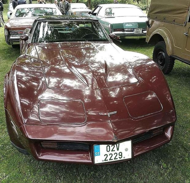Habrovany cestovaly časem. Park zaplnily historické automobily i motorky.