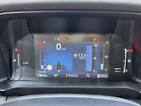 Ford Ranger 3,0 EcoBlue 177 kW V6 Wildtrak - náhled 20