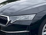 Škoda Octavia (2025) TOP SELECTION 1,5 TSI M-HEV 11 - náhled 10