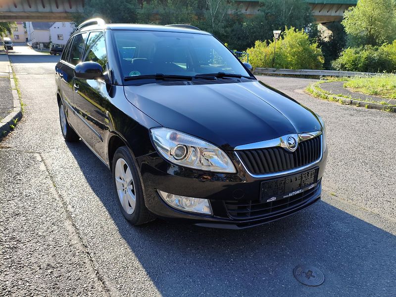 Škoda Fabia (2014) 1,2 TSI Style Fresh Combi - fotka 3 z 30