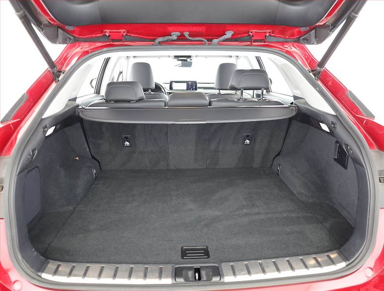 Lexus RX 400h (2022) 300 AWD, ACC, Výhřev, Kamera - fotka 20 z 21