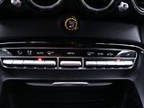 Mercedes-Benz AMG GT R 4,0 430kW Bucket seats Cup2 - náhled 28