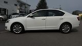 Škoda Octavia (2016) 1.6 TDI 81KW 172 TIS KM  - náhled 9