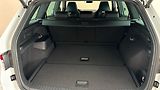 Škoda Kodiaq 2.0 TSI DSG 4x4 RS - náhled 17