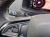 Škoda Karoq (2020) 2,0TDi DSG 4x4 SPORTLINE NAVI - náhled 32
