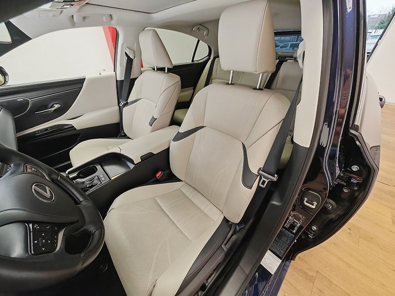 Lexus ES 300h Prestige Plus - fotka 17 z 49