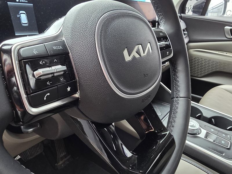 Kia Carnival 2.2-9 MÍST-DPH-KŮŽE - fotka 22 z 28