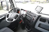 Renault Ostatní (2020) C280 DTI 8 / FASSI crane 5.6 T - náhled 25