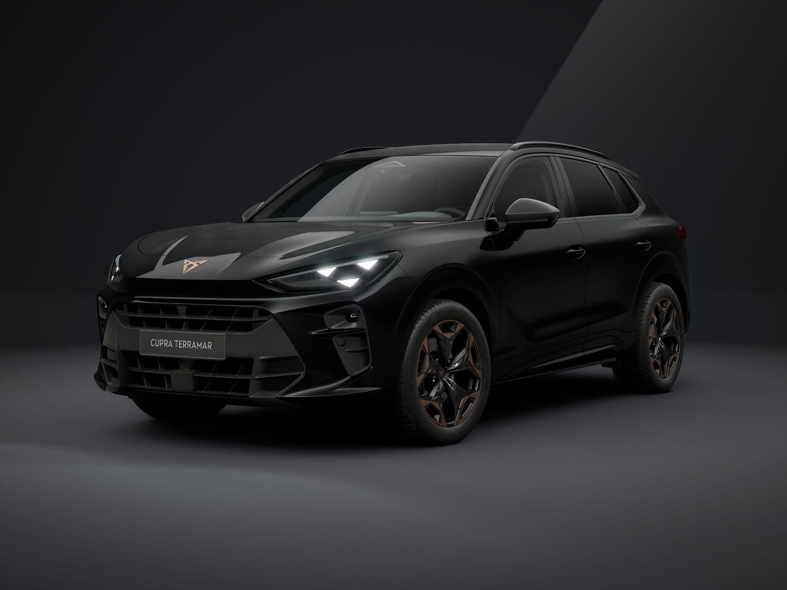 Cupra Terramar SUV