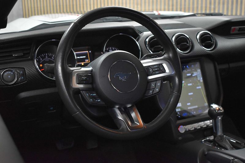 Ford Mustang RS 3.7 V6 227kW *ROUSH*KAMERA* - fotka 15 z 42