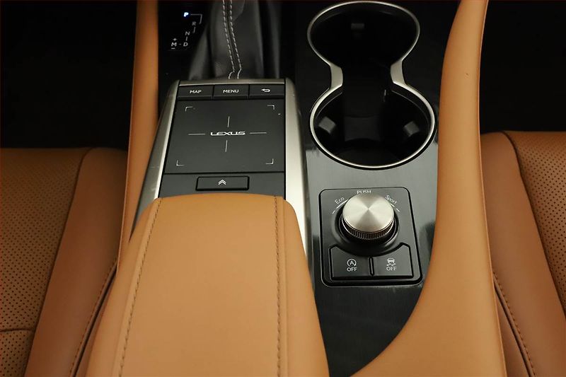 Lexus RX 400h (2023) 300 AWD - fotka 20 z 21