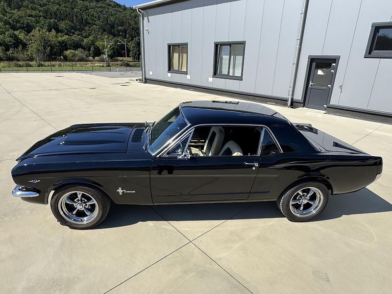 Ford Mustang V8 347cui - fotka 11 z 46