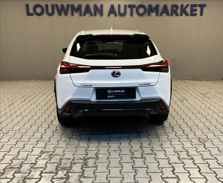 Lexus UX 300h 300H 2,0 HEV F SPORT DESIGN - fotka 12 z 18