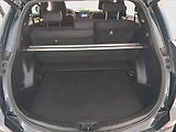 Toyota RAV4 (2018) 2.5 Hybrid - náhled 14
